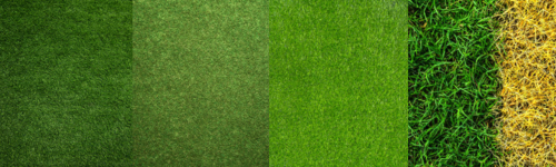 Coloris gazon synthétique